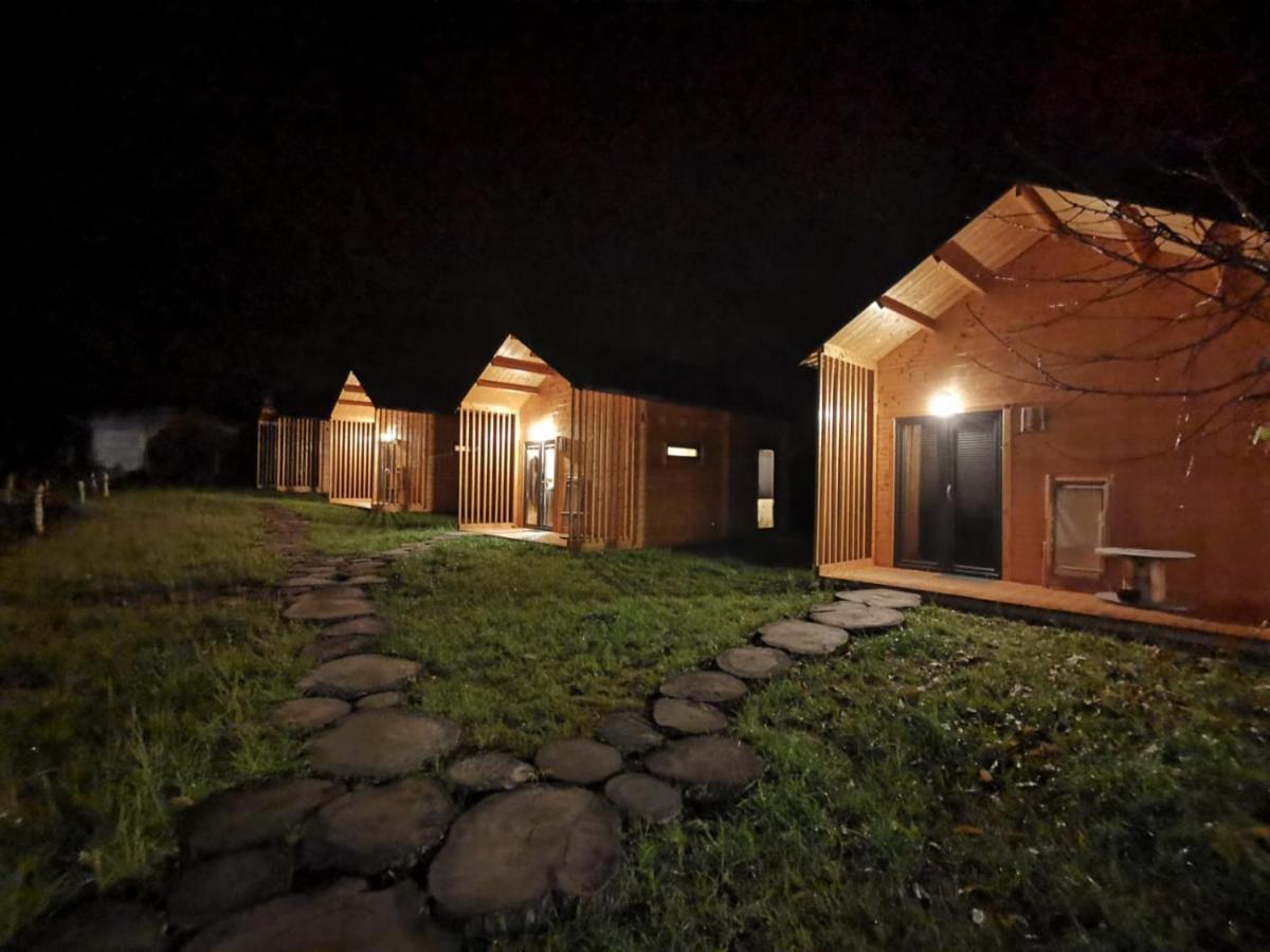 Projekt Ferienhaus Przelazy