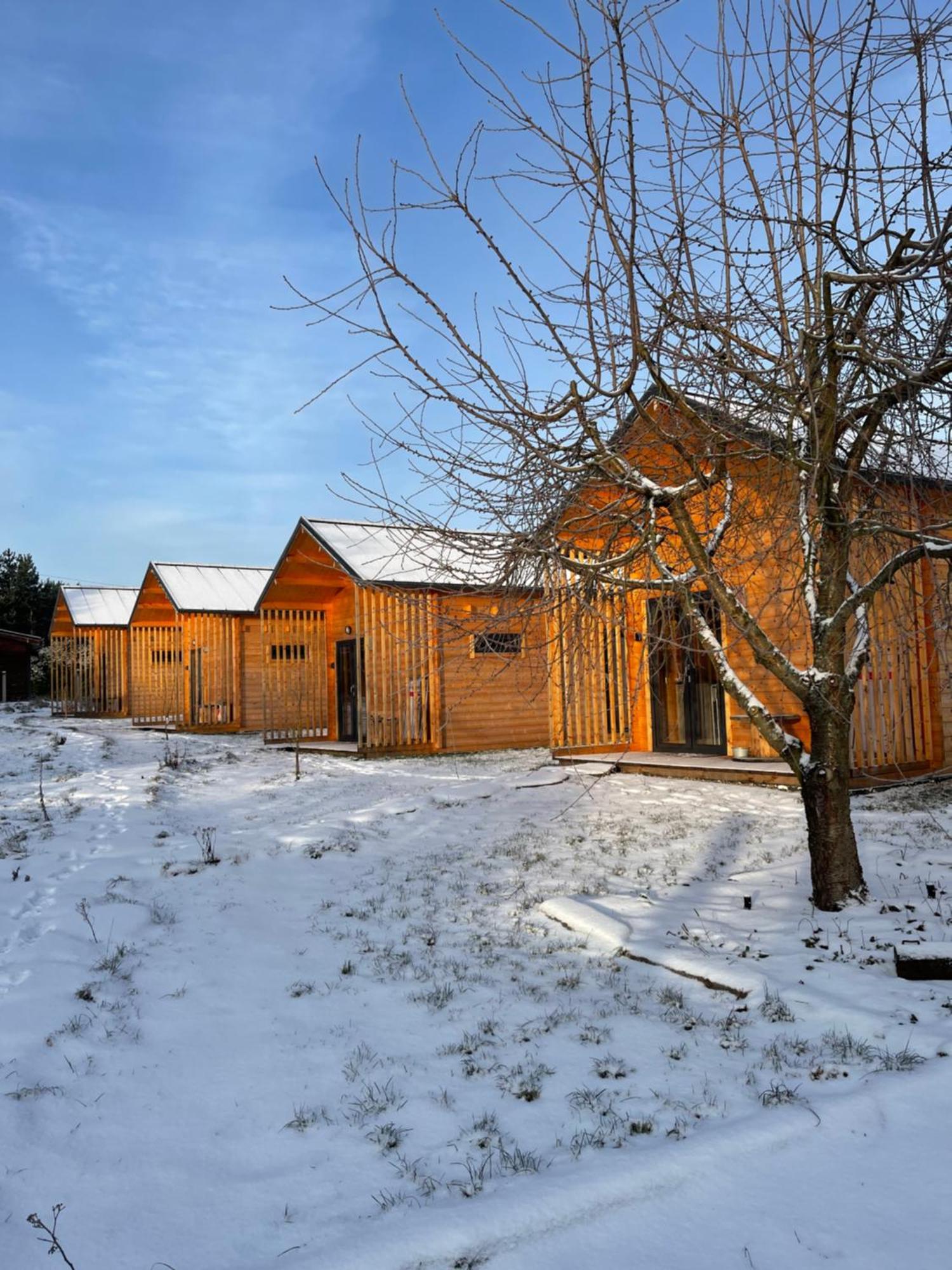 Projekt Ferienhaus Przelazy